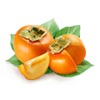 Fresh Orange