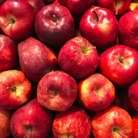 Fresh Red Apple